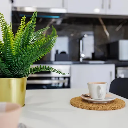 Live In Rossio Lejlighed Aveiro