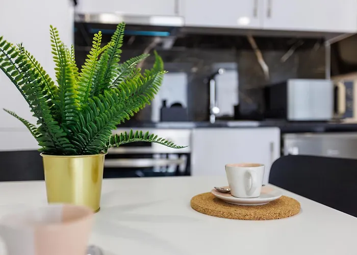 Live In Rossio Apartment Aveiro